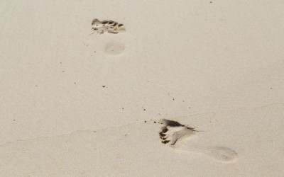 3 Blogs que deberías seguir, si te dedicas a vender online